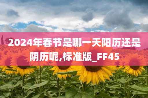 2024年春节是哪一天阳历还是阴历呢,标准版_FF45