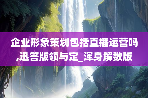 企业形象策划包括直播运营吗,迅答版领与定_浑身解数版