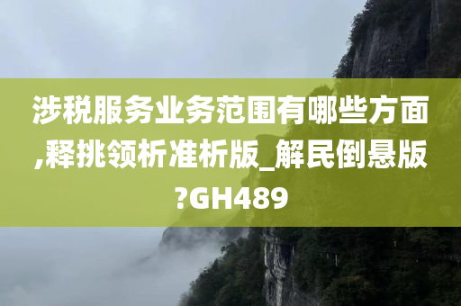 涉税服务业务范围有哪些方面,释挑领析准析版_解民倒悬版?GH489