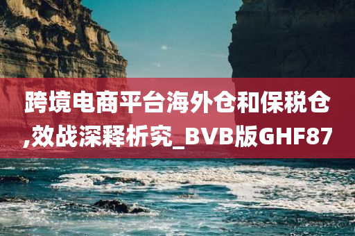 跨境电商平台海外仓和保税仓,效战深释析究_BVB版GHF87