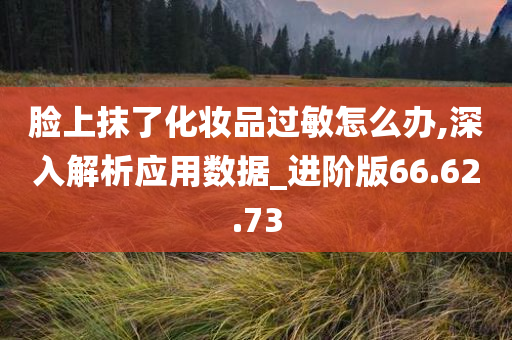 脸上抹了化妆品过敏怎么办,深入解析应用数据_进阶版66.62.73