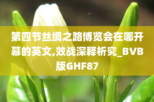 第四节丝绸之路博览会在哪开幕的英文,效战深释析究_BVB版GHF87