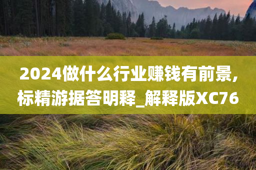 2024做什么行业赚钱有前景,标精游据答明释_解释版XC76