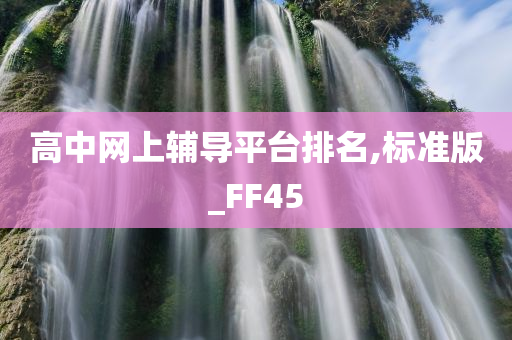 高中网上辅导平台排名,标准版_FF45