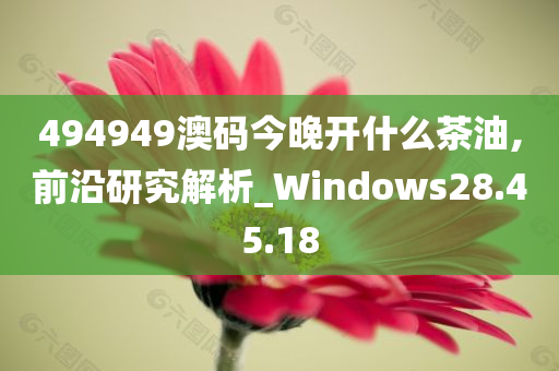 494949澳码今晚开什么茶油,前沿研究解析_Windows28.45.18