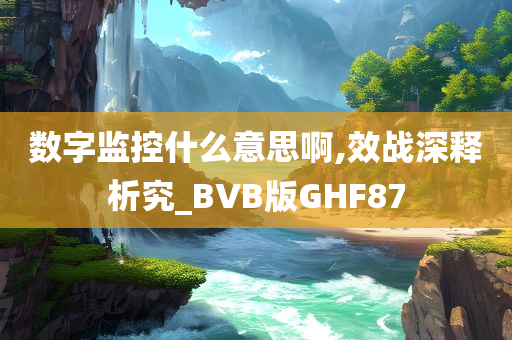 数字监控什么意思啊,效战深释析究_BVB版GHF87