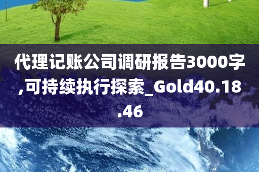 代理记账公司调研报告3000字,可持续执行探索_Gold40.18.46