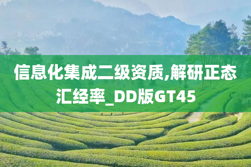 信息化集成二级资质,解研正态汇经率_DD版GT45