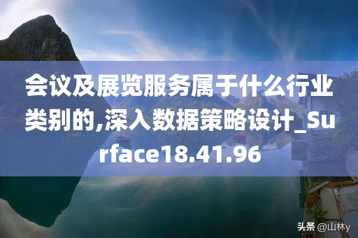 会议及展览服务属于什么行业类别的,深入数据策略设计_Surface18.41.96