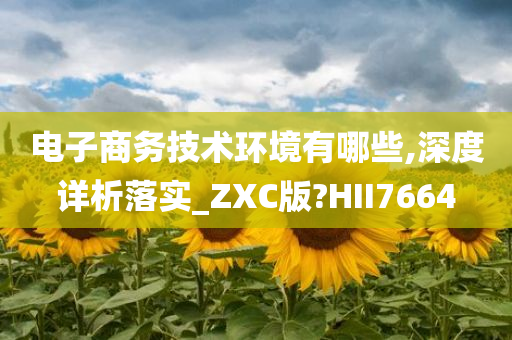 电子商务技术环境有哪些,深度详析落实_ZXC版?HII7664