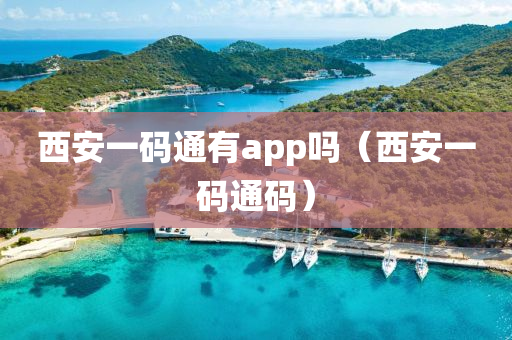 西安一码通有app吗（西安一码通码）