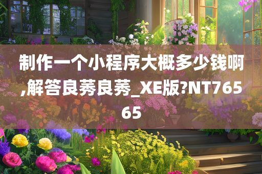 制作一个小程序大概多少钱啊,解答良莠良莠_XE版?NT76565