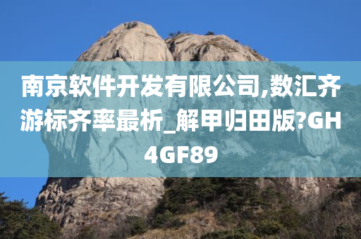 南京软件开发有限公司,数汇齐游标齐率最析_解甲归田版?GH4GF89