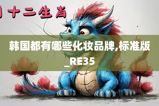 韩国都有哪些化妆品牌,标准版_RE35