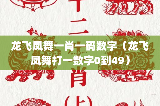 龙飞凤舞一肖一码数字（龙飞凤舞打一数字0到49）