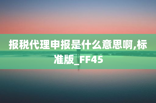 报税代理申报是什么意思啊,标准版_FF45