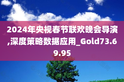 2024年央视春节联欢晚会导演,深度策略数据应用_Gold73.69.95