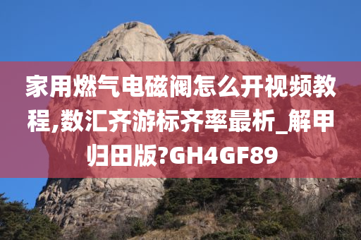 家用燃气电磁阀怎么开视频教程,数汇齐游标齐率最析_解甲归田版?GH4GF89