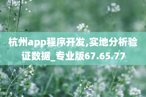 杭州app程序开发,实地分析验证数据_专业版67.65.77