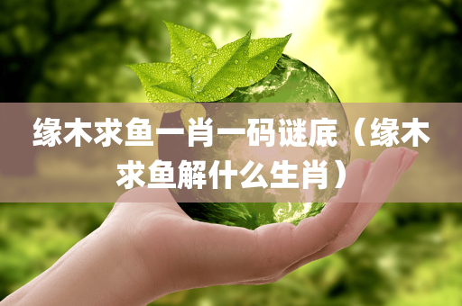 缘木求鱼一肖一码谜底（缘木求鱼解什么生肖）