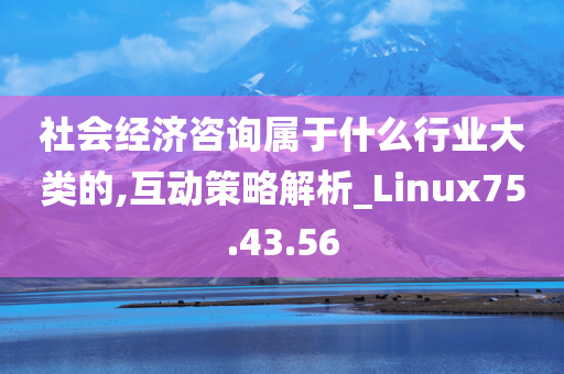 社会经济咨询属于什么行业大类的,互动策略解析_Linux75.43.56