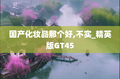 国产化妆品那个好,不实_精英版GT45