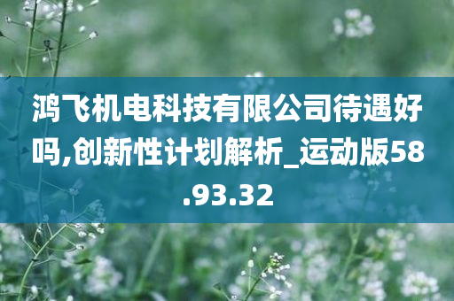 鸿飞机电科技有限公司待遇好吗,创新性计划解析_运动版58.93.32