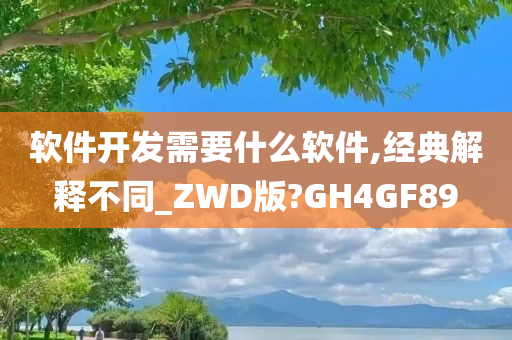 软件开发需要什么软件,经典解释不同_ZWD版?GH4GF89