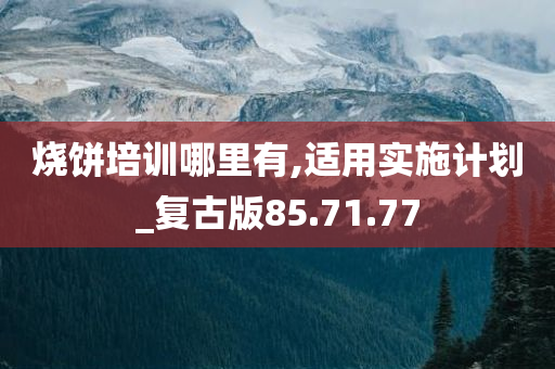 烧饼培训哪里有,适用实施计划_复古版85.71.77