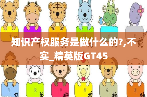 知识产权服务是做什么的?,不实_精英版GT45