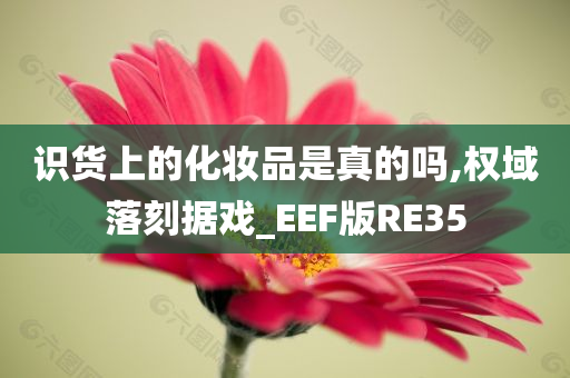 识货上的化妆品是真的吗,权域落刻据戏_EEF版RE35