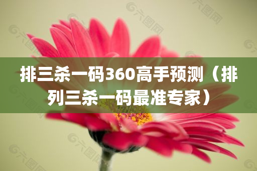 排三杀一码360高手预测（排列三杀一码最准专家）