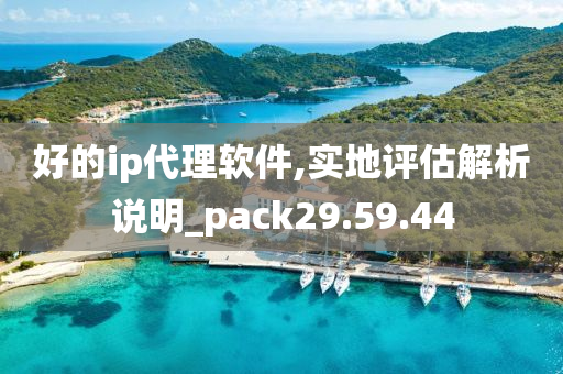 好的ip代理软件,实地评估解析说明_pack29.59.44