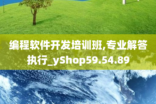 编程软件开发培训班,专业解答执行_yShop59.54.89