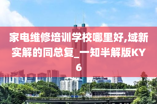 家电维修培训学校哪里好,域新实解的同总复_一知半解版KY6