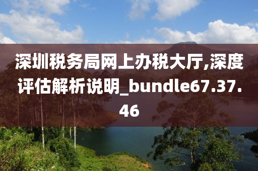 深圳税务局网上办税大厅,深度评估解析说明_bundle67.37.46