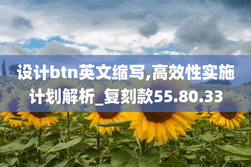 设计btn英文缩写,高效性实施计划解析_复刻款55.80.33