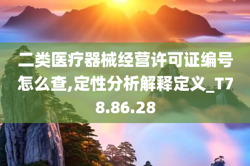 二类医疗器械经营许可证编号怎么查,定性分析解释定义_T78.86.28