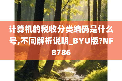 计算机的税收分类编码是什么号,不同解析说明_BYU版?NF8786