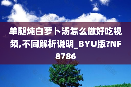 羊腿炖白萝卜汤怎么做好吃视频,不同解析说明_BYU版?NF8786