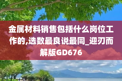 金属材料销售包括什么岗位工作的,选数最良说最同_迎刃而解版GD676