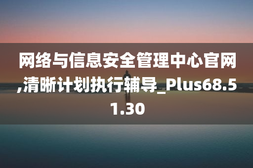 网络与信息安全管理中心官网,清晰计划执行辅导_Plus68.51.30