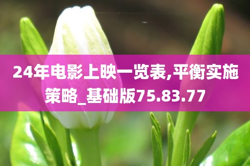 24年电影上映一览表,平衡实施策略_基础版75.83.77