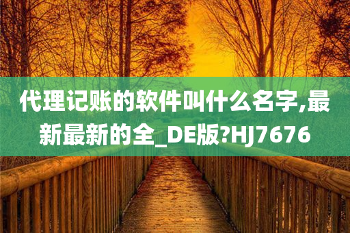 代理记账的软件叫什么名字,最新最新的全_DE版?HJ7676