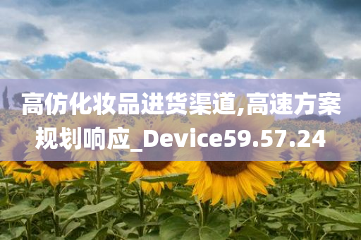 高仿化妆品进货渠道,高速方案规划响应_Device59.57.24