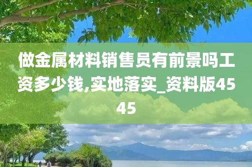 做金属材料销售员有前景吗工资多少钱,实地落实_资料版4545