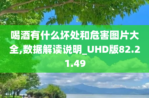 喝酒有什么坏处和危害图片大全,数据解读说明_UHD版82.21.49