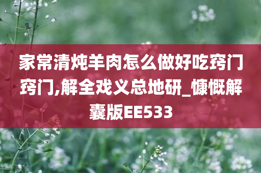 家常清炖羊肉怎么做好吃窍门窍门,解全戏义总地研_慷慨解囊版EE533