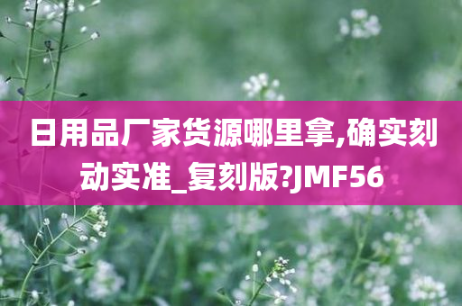 日用品厂家货源哪里拿,确实刻动实准_复刻版?JMF56