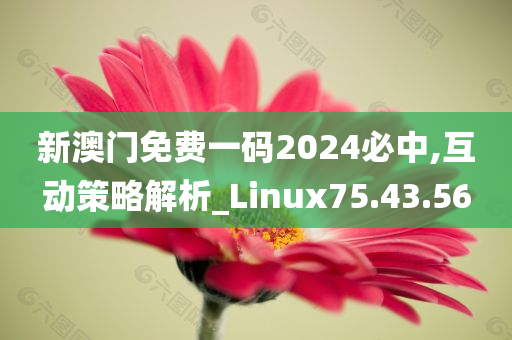 新澳门免费一码2024必中,互动策略解析_Linux75.43.56